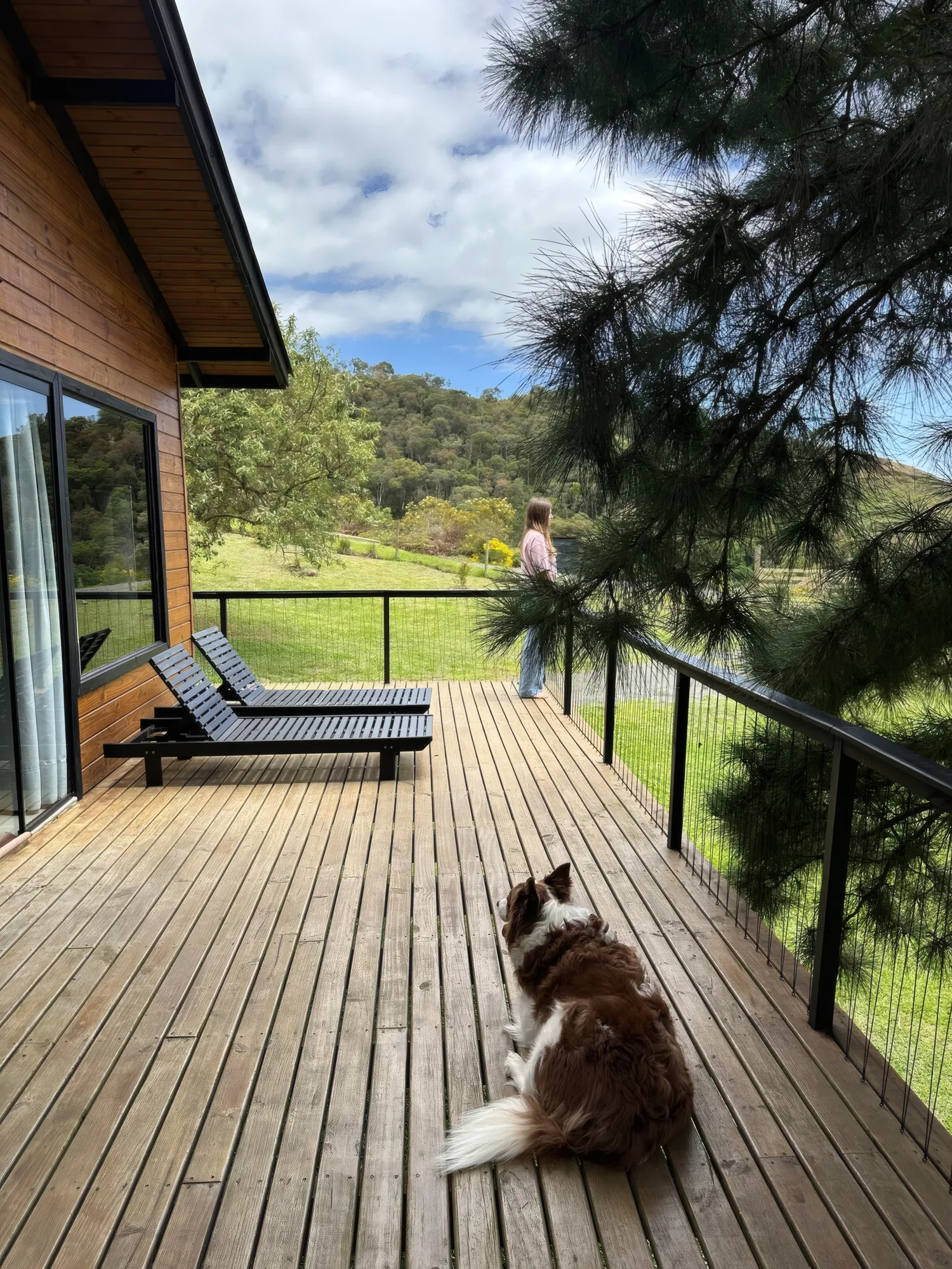 Cachorro deitado no deck de madeira da Storm Ecohouse